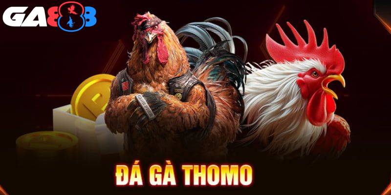 Đá gà Thomo: Hoàn trả 0.88% tiền thua cược tại nhà cái GA888